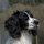 IMG_0174.JPG IMG_0174