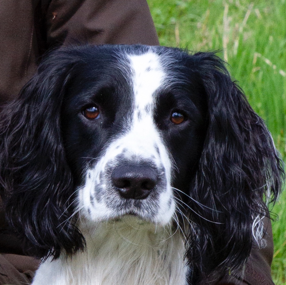 7FF5CB4A-3E21-4057-8E15-6757ECCA6414