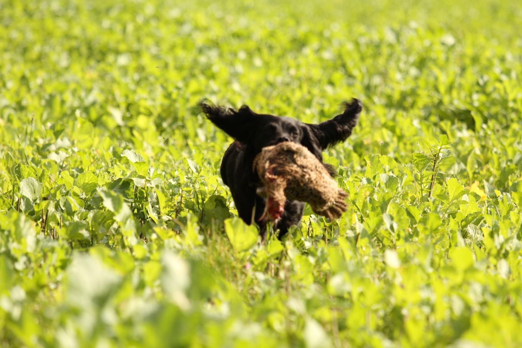 6FF04E5E-E6A4-40B9-B030-D3A37C2F0C19