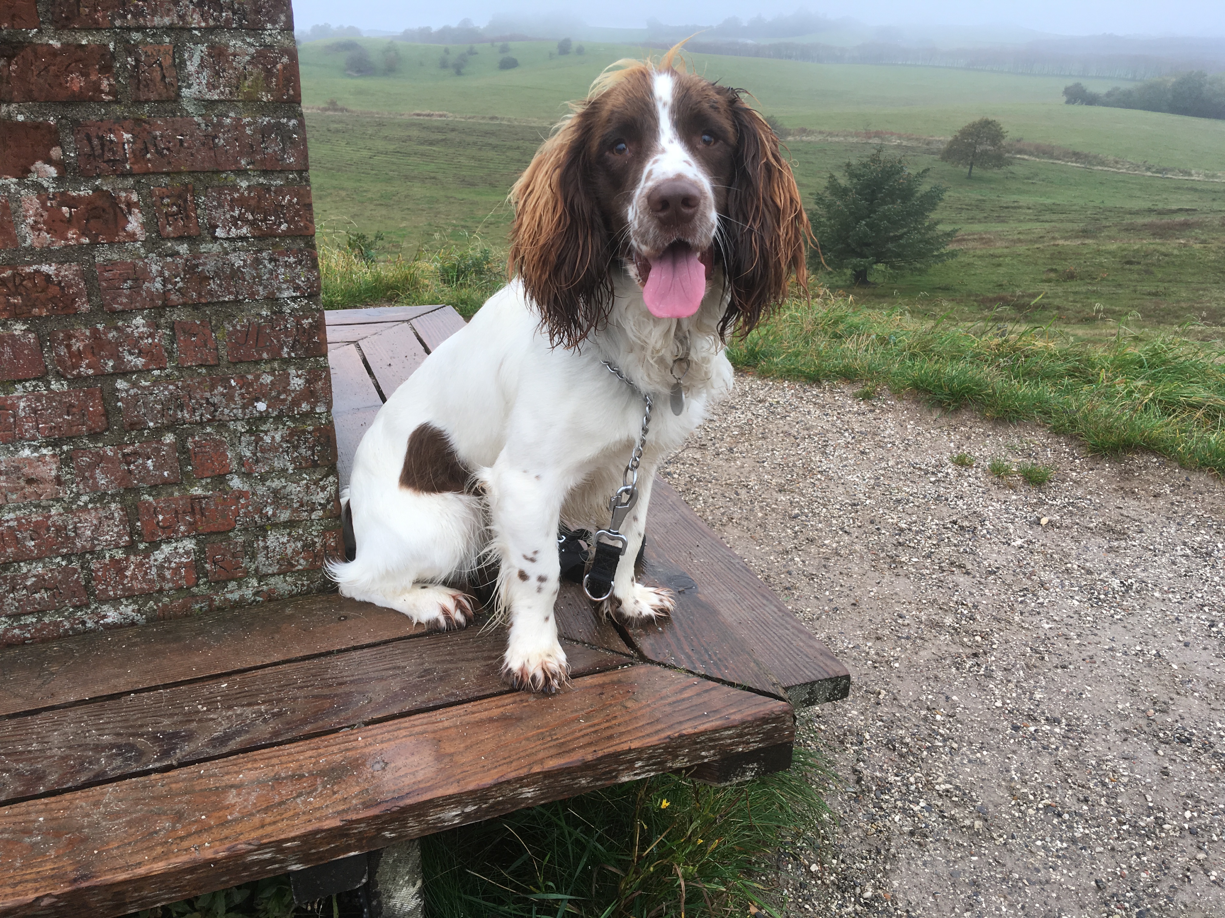 8BB40D40-33AD-4768-BC05-28BEBF2AFF14