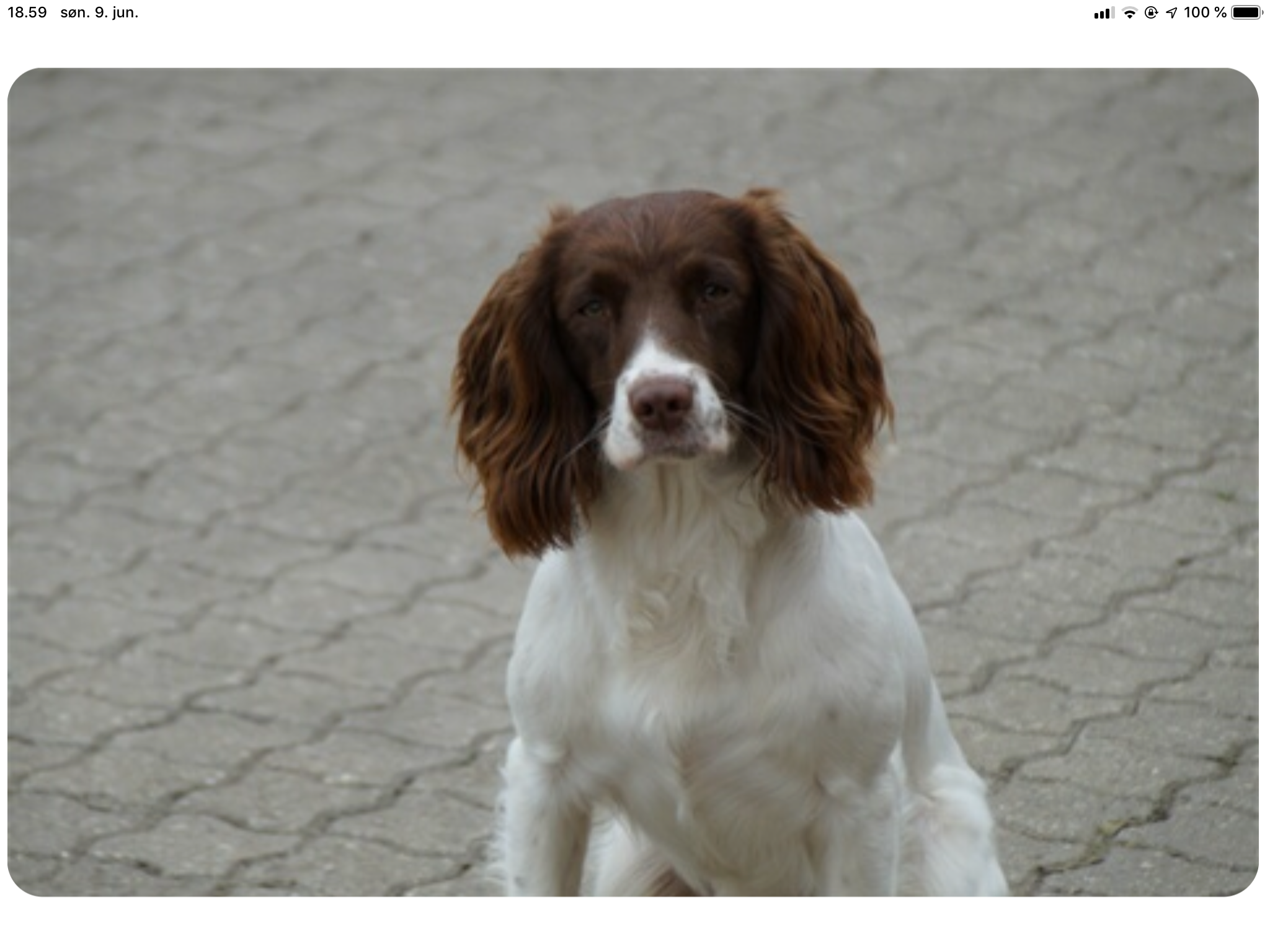 E12156CF-26C4-4B23-A9B5-7A5C55F06963