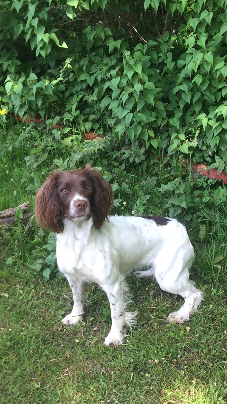 7C9C7EE2-25B0-4943-92CC-9A16A735EFEB