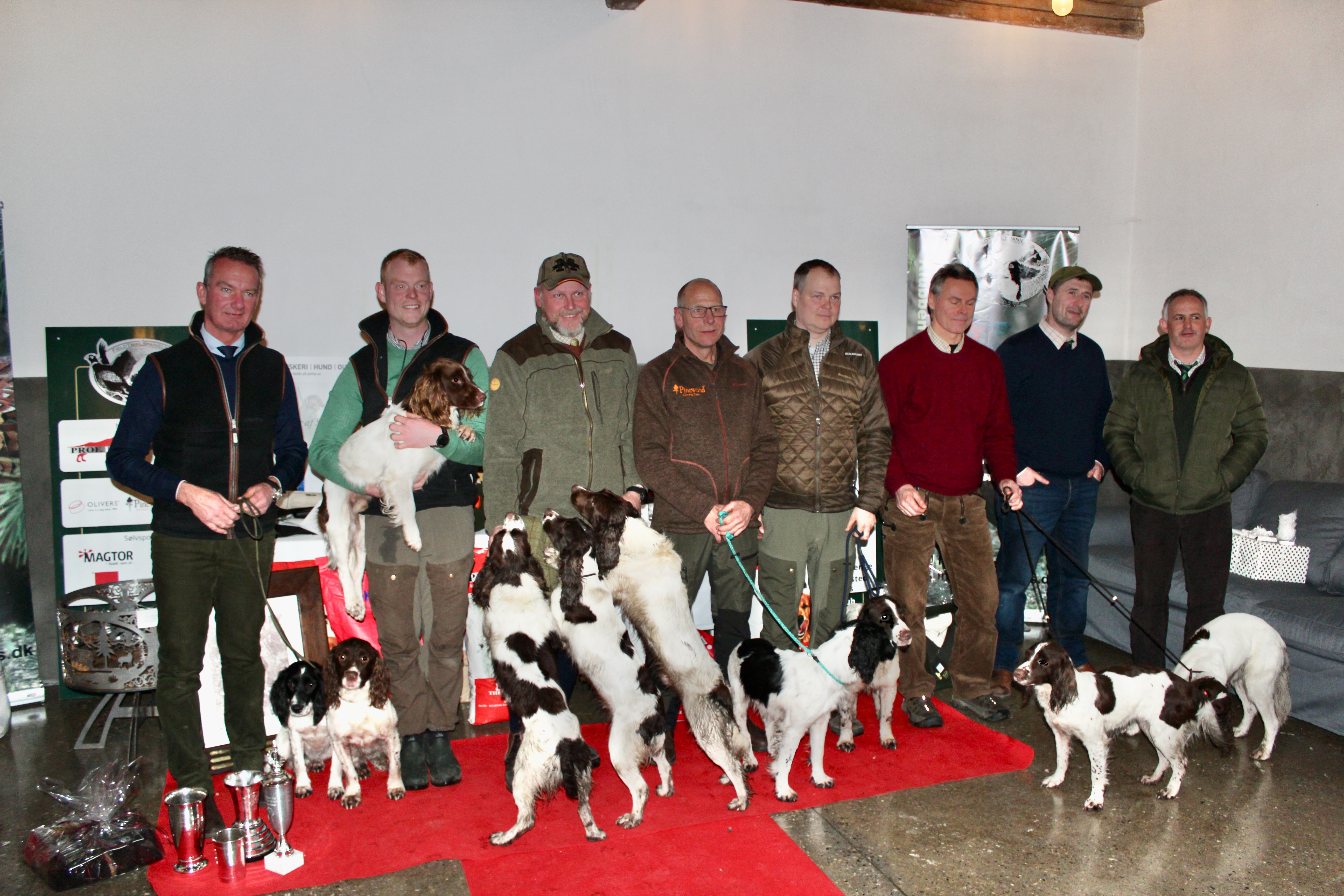 Mesterskab Springer 2019