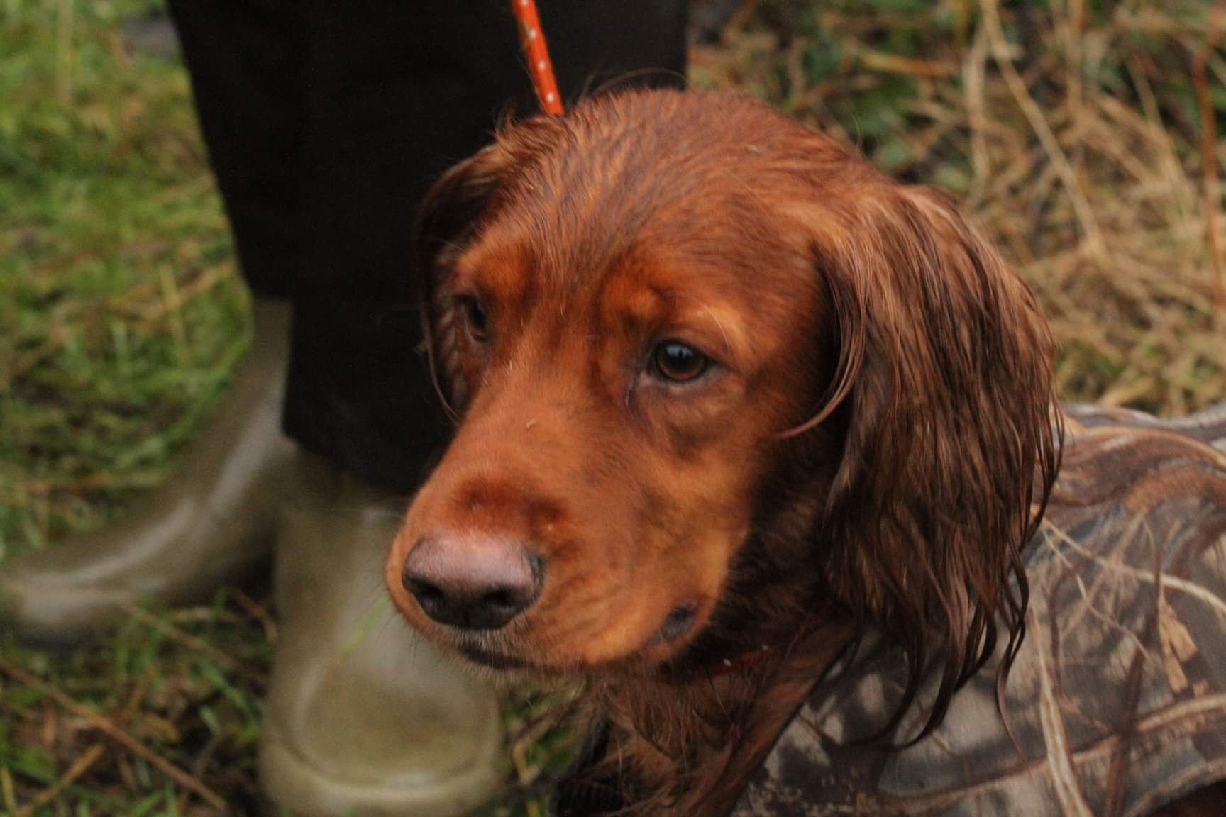 476C2590-B986-41A9-B600-3D30FEE67E28