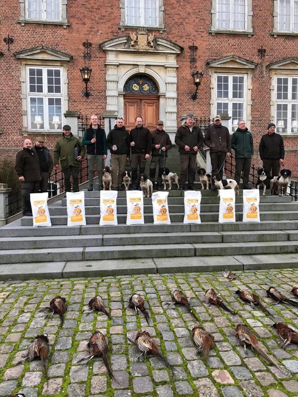 ValdermarSpringer.jpg ValdermarSpringer