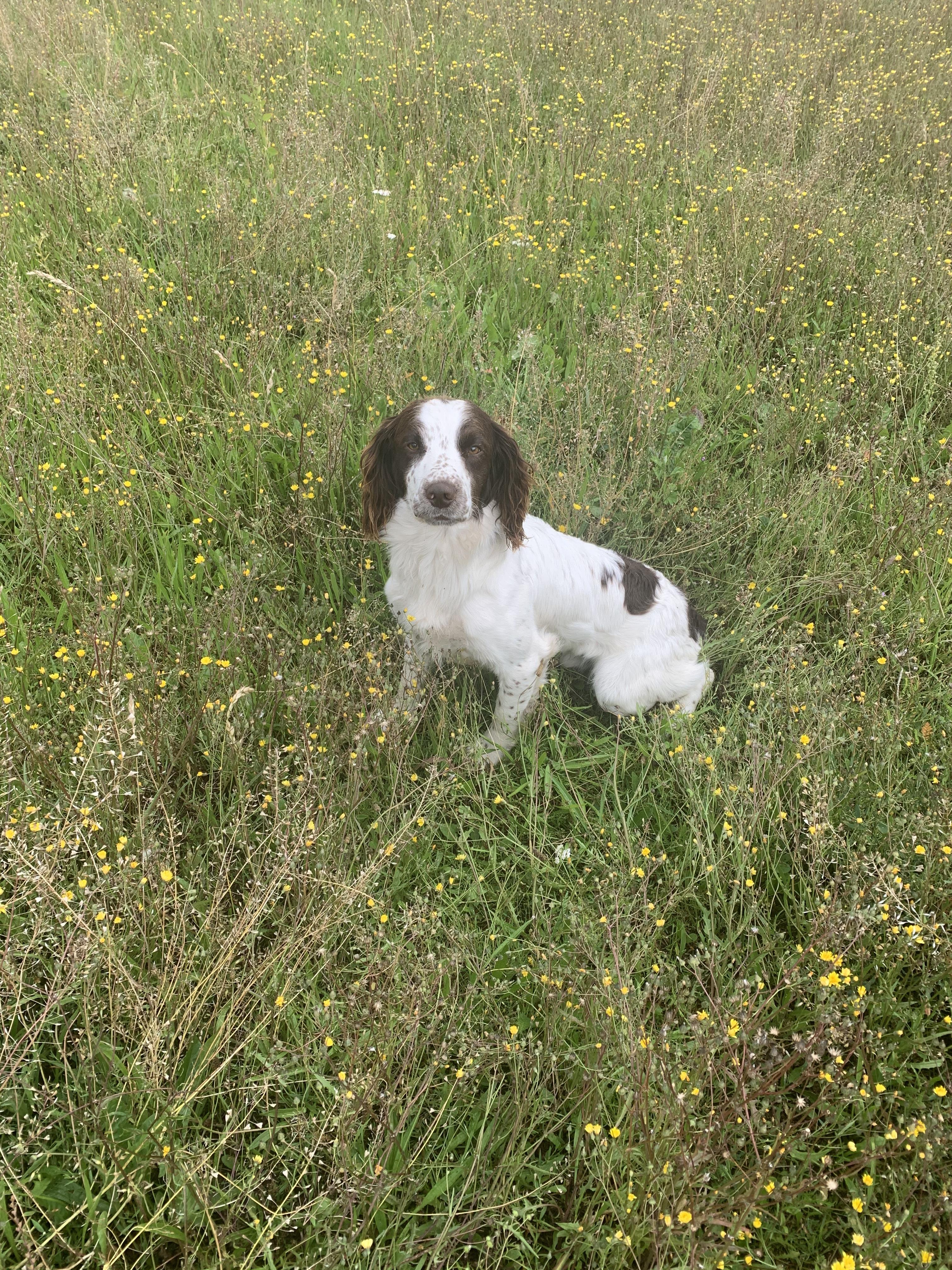 A2F999C1-E585-4D2C-941F-28E9CCE4C63E