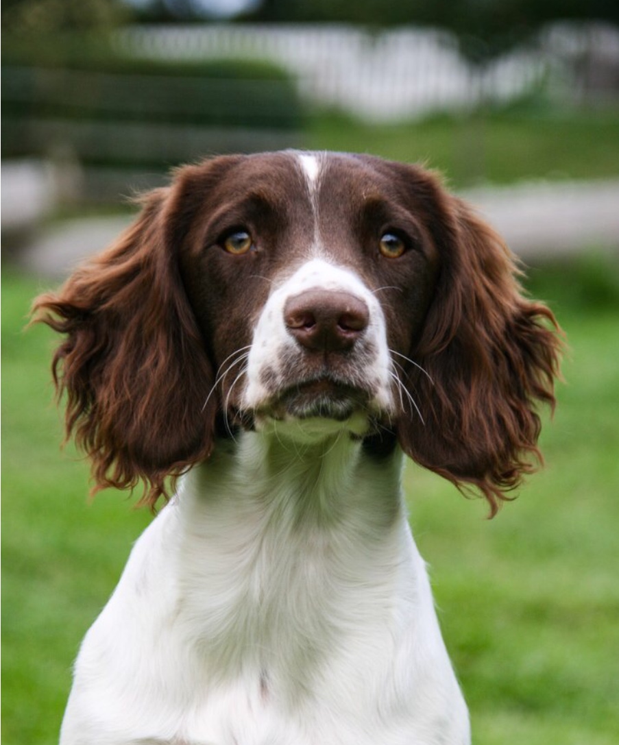 037ABE02-57F4-4E60-9295-CD226530A4A6