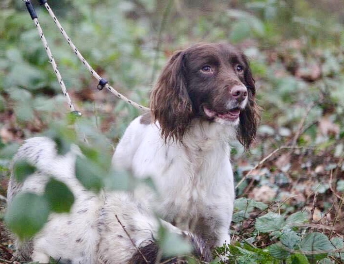 385386AE-DA2C-4AAA-9419-40CB8E3E41C2