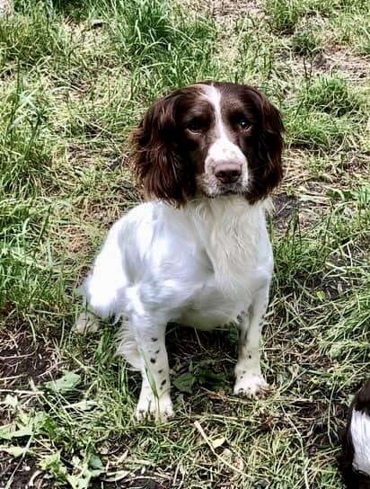 E5AA814E-B49C-45A5-84C6-149F5DA82A95