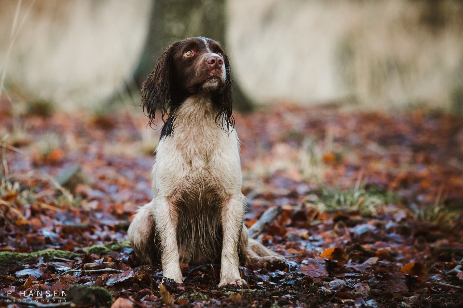 78840352_737360033438303_2090054291665453056_o