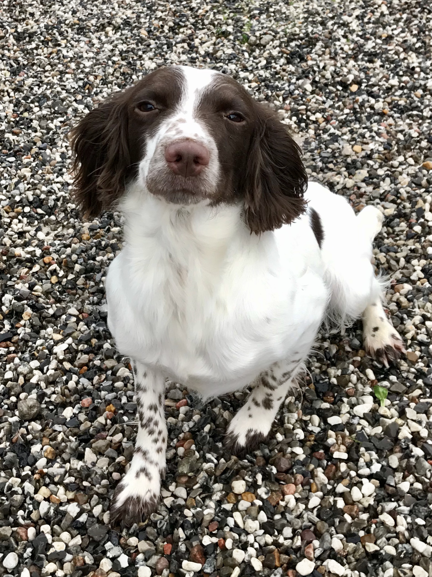 721A879A-D9E5-4A3A-BCDE-4F395B6FC724