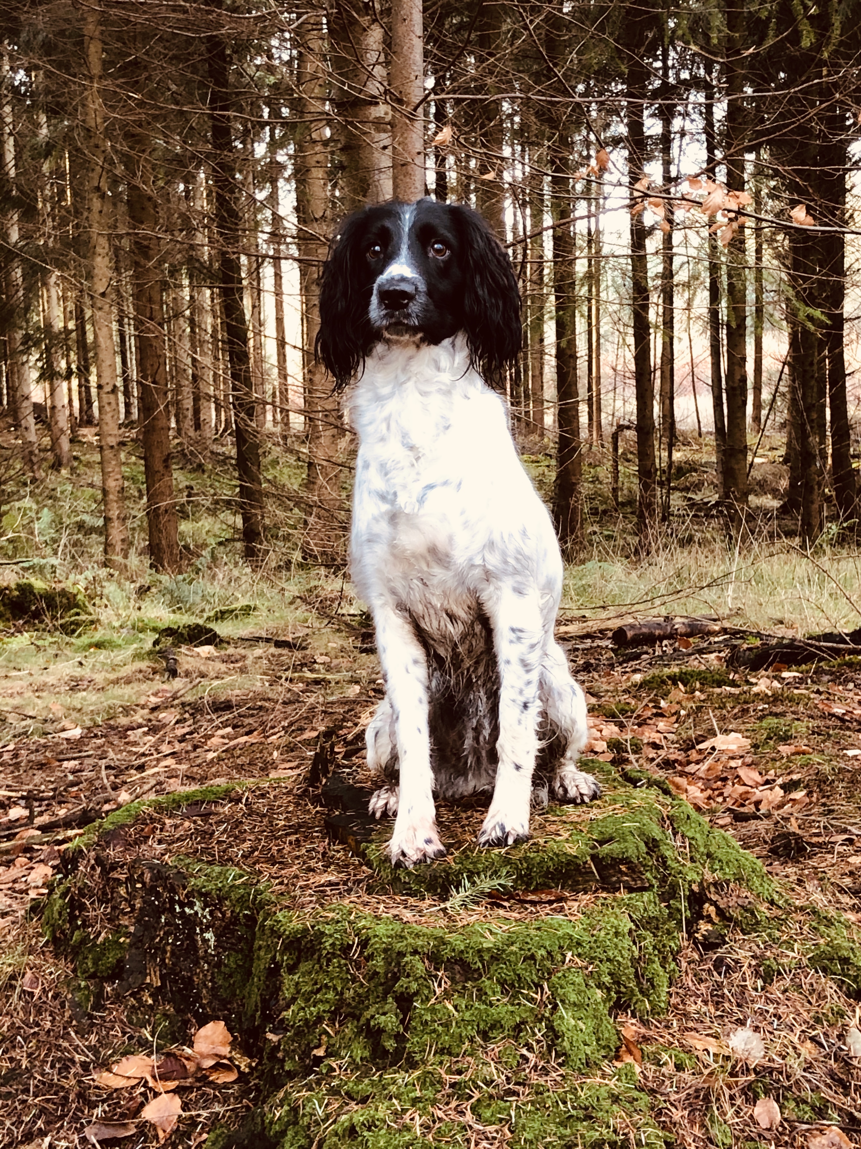 EAD8FFB2-E650-4538-A7D0-86DBB5618F83