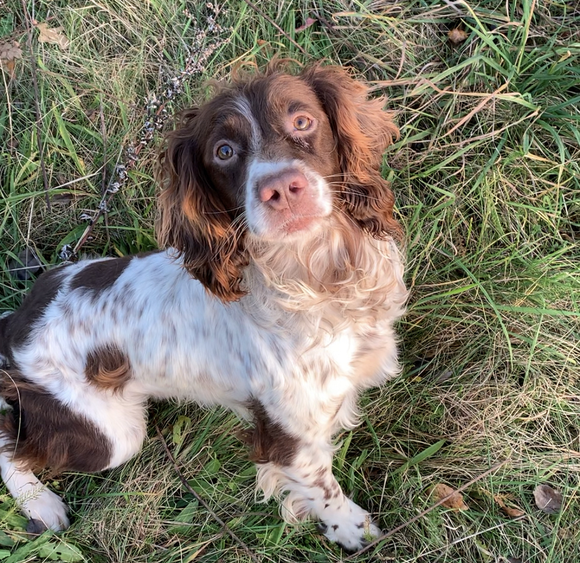 B95B145B-F62C-4AC2-931B-C15A39F01742