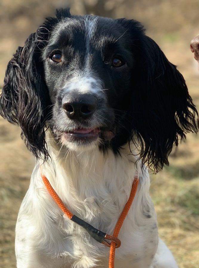 received_2539302493040683