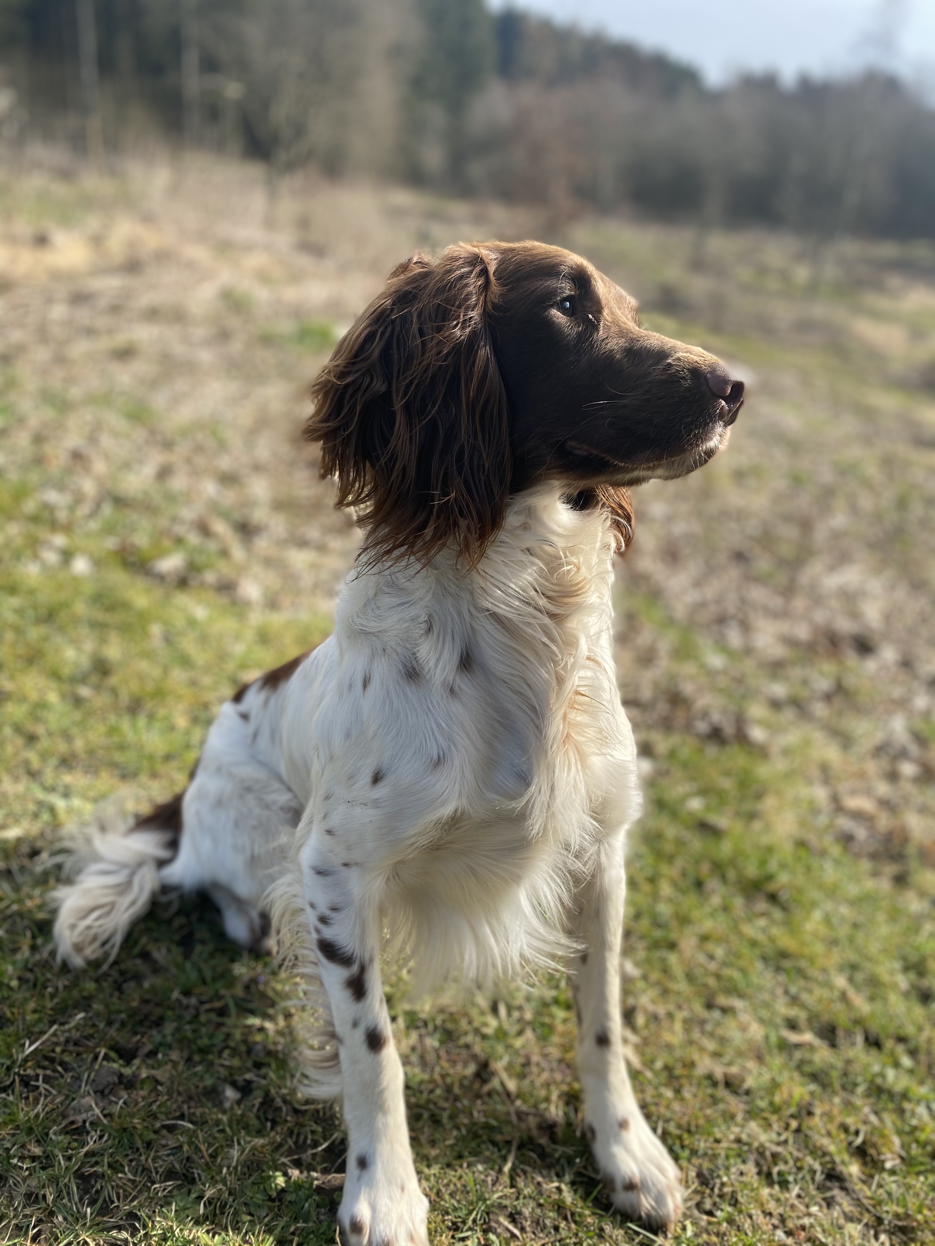 4BBA4845-1729-4A26-8791-3499E0276121