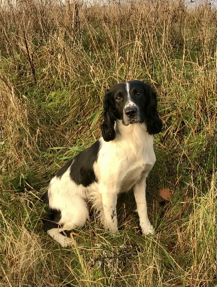 976FA7B4-E9DA-4A18-8455-2B040C37236D