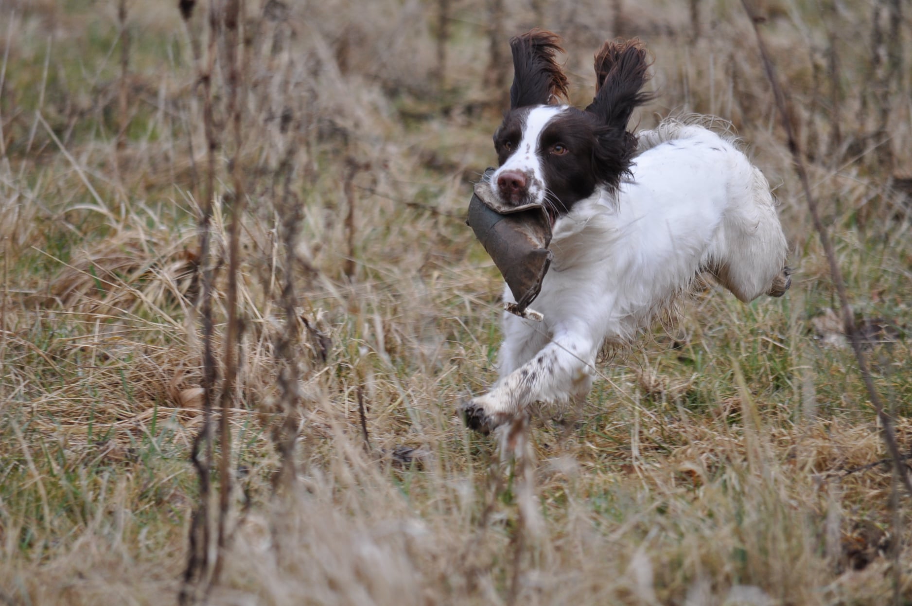 164594877_10214854666358605_994842078184437900_o