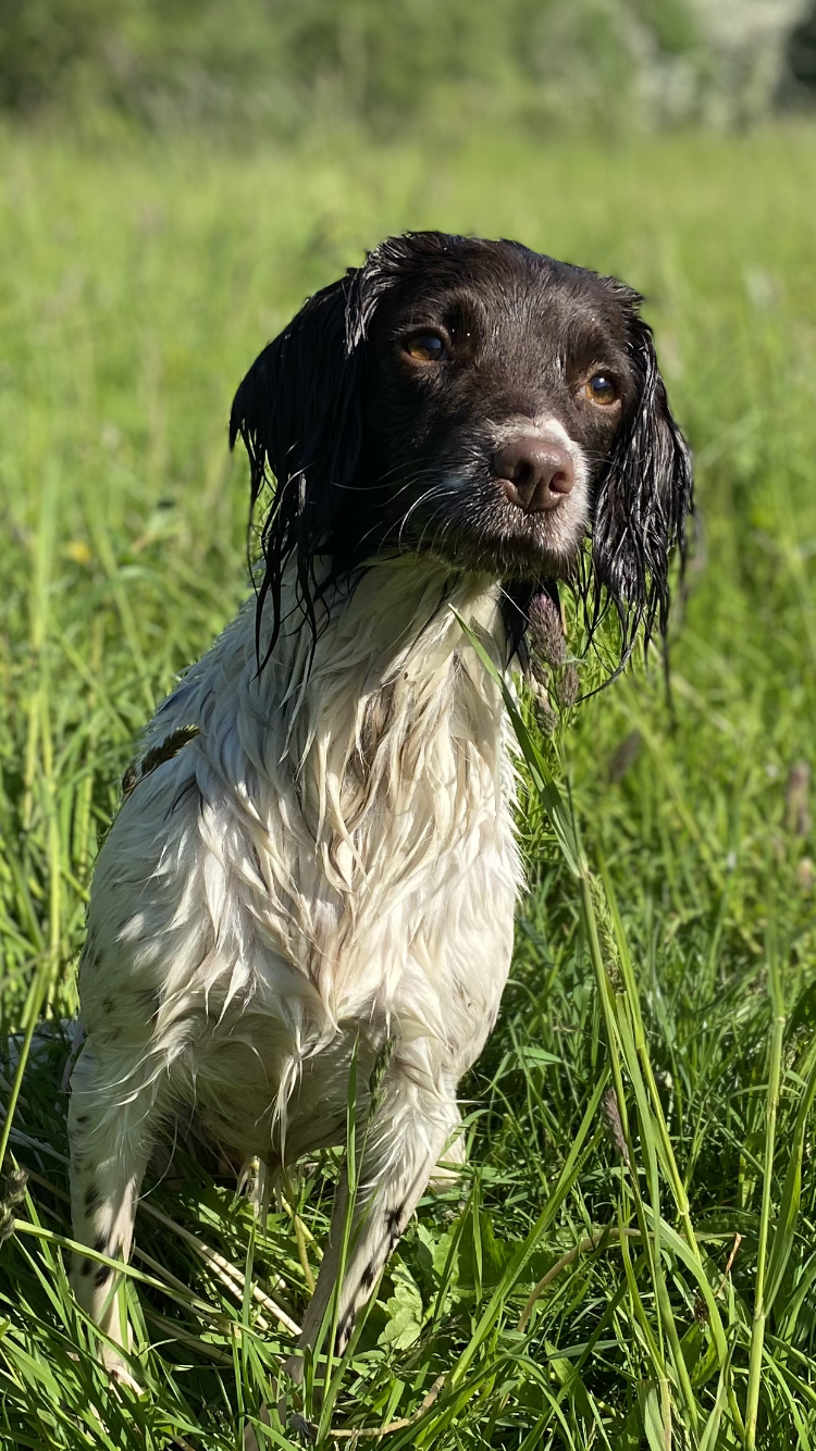 598F7A6D-2E4A-4F17-8E07-FA71D58F8F15