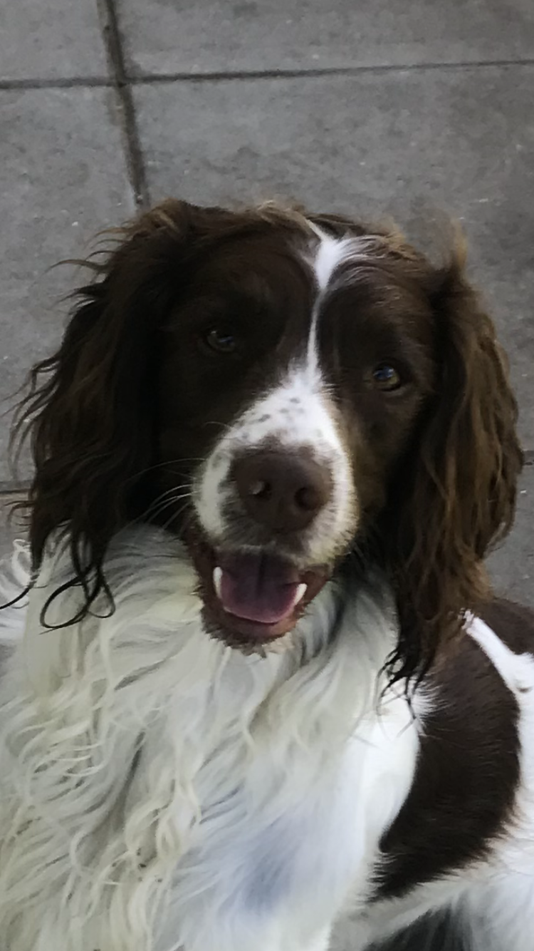 CA9CE58C-3D9D-4D26-84C7-98F038F1CB5C