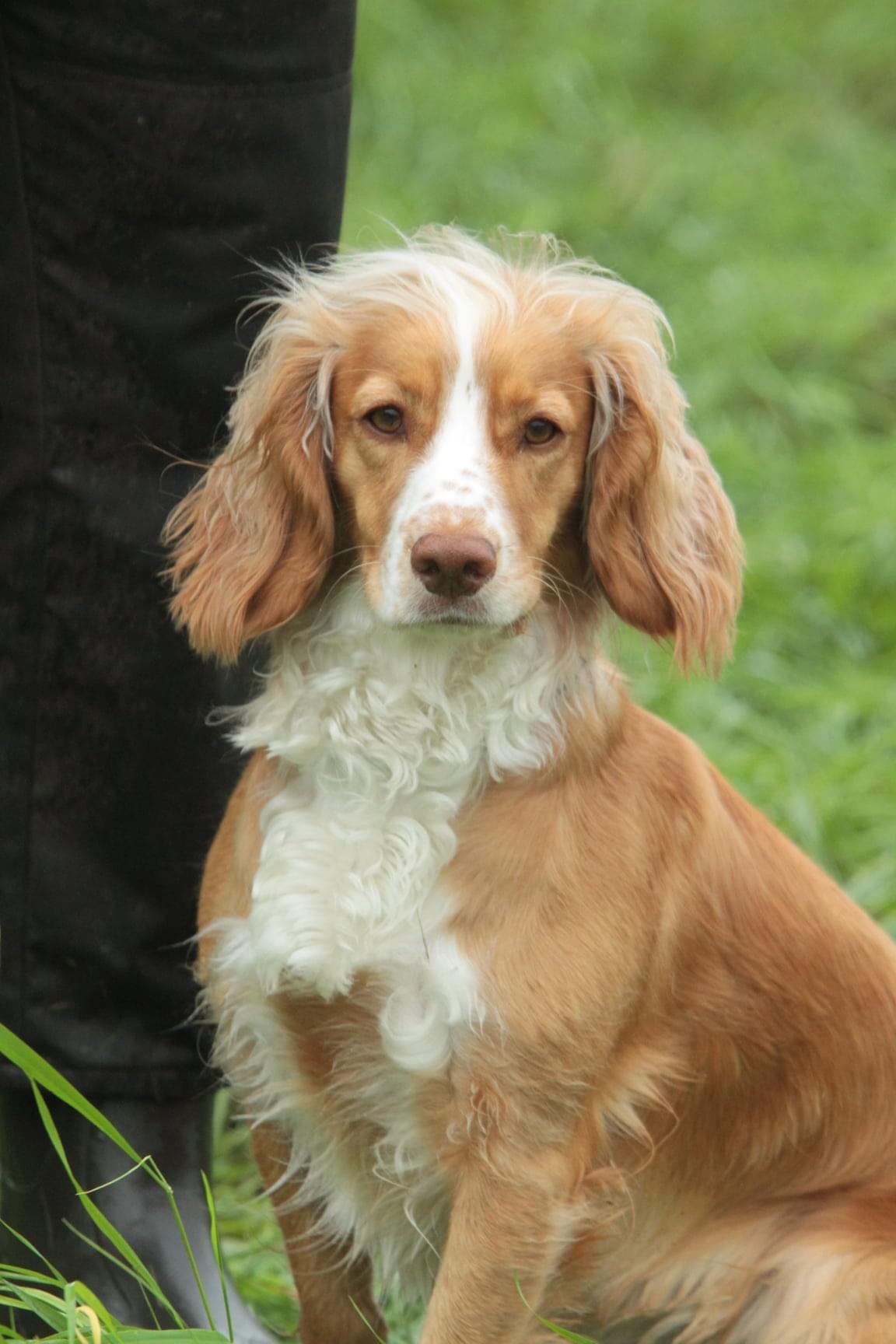 DBBACD6E-36D8-4EAF-94E1-EFD80D8911F2