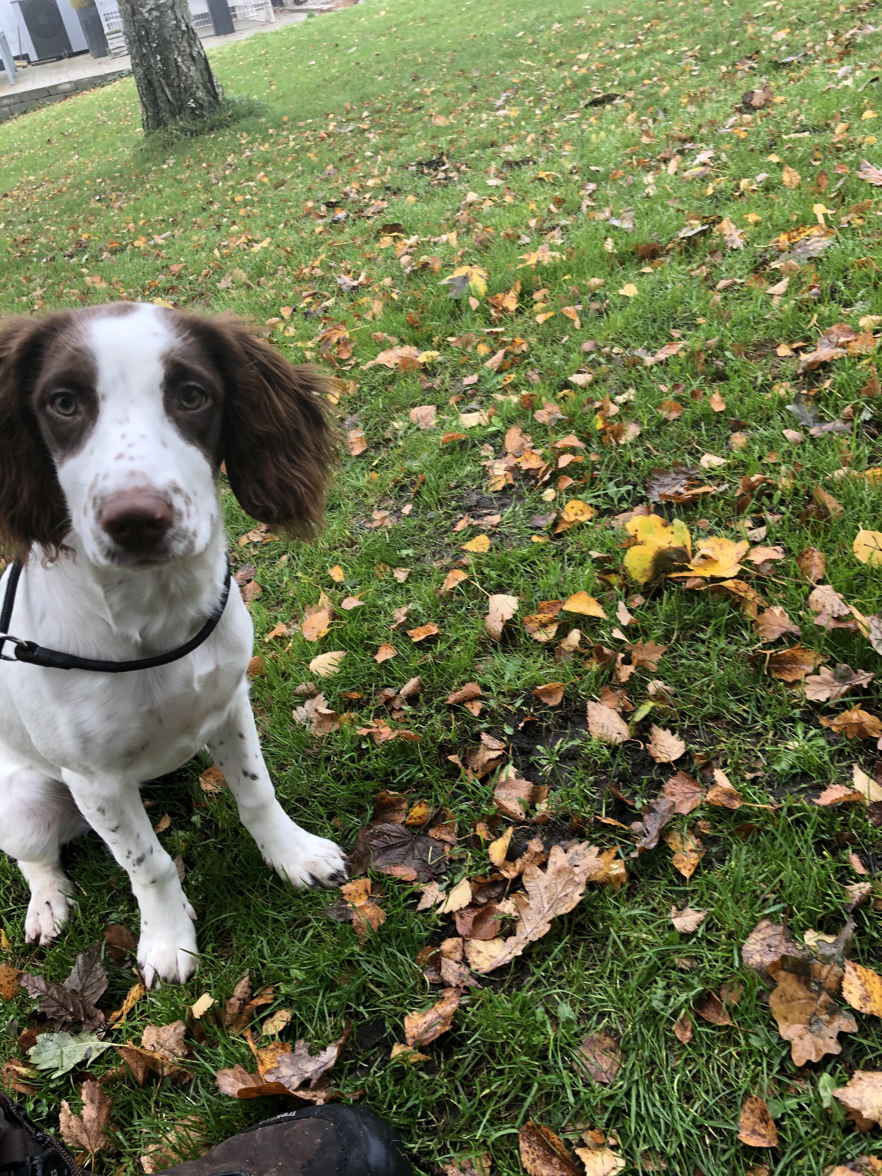 5EDBF413-A200-42C3-ABBE-97987CA17B32