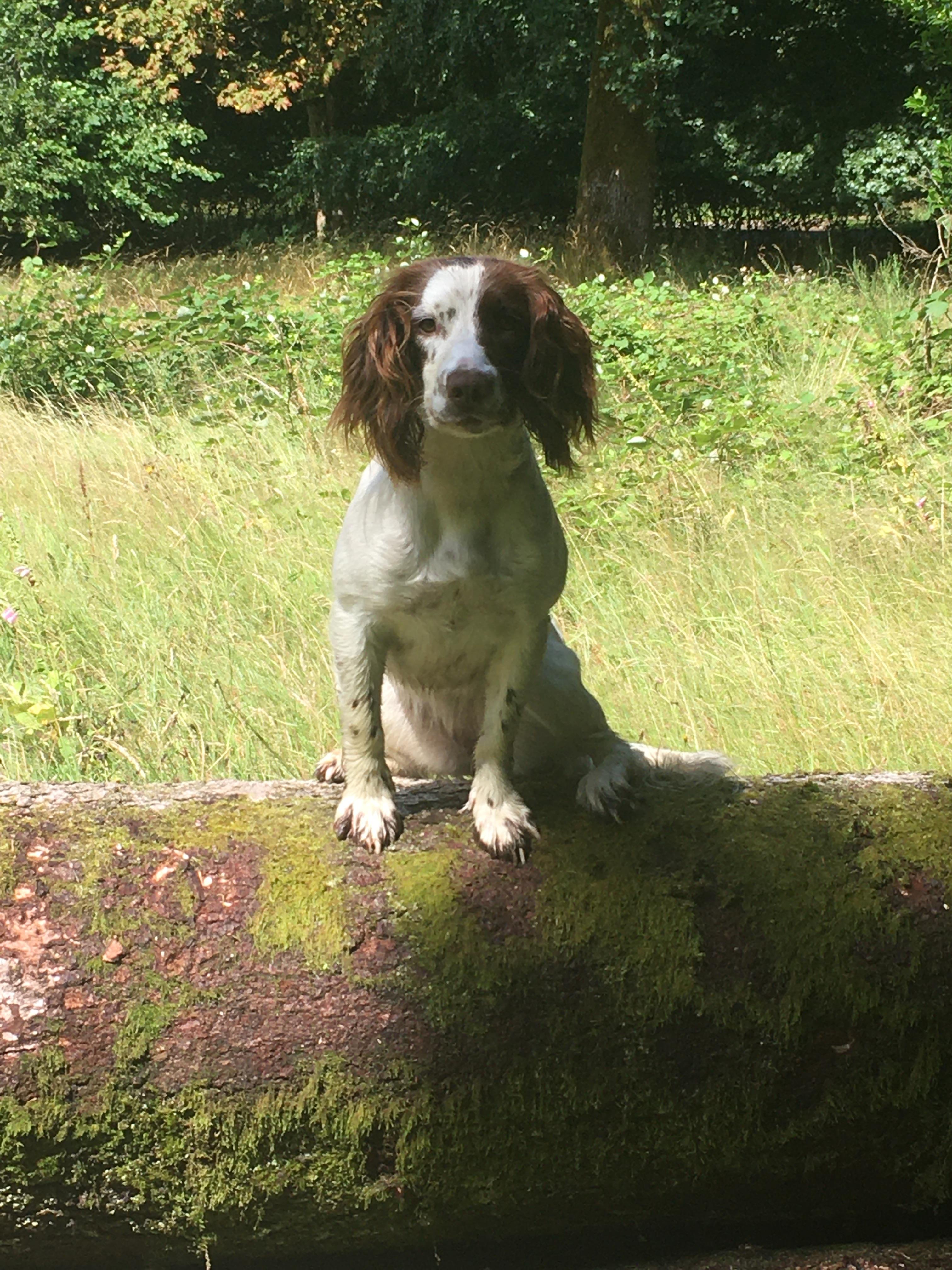 819FBAE2-6F90-424E-B339-C67AB3577011