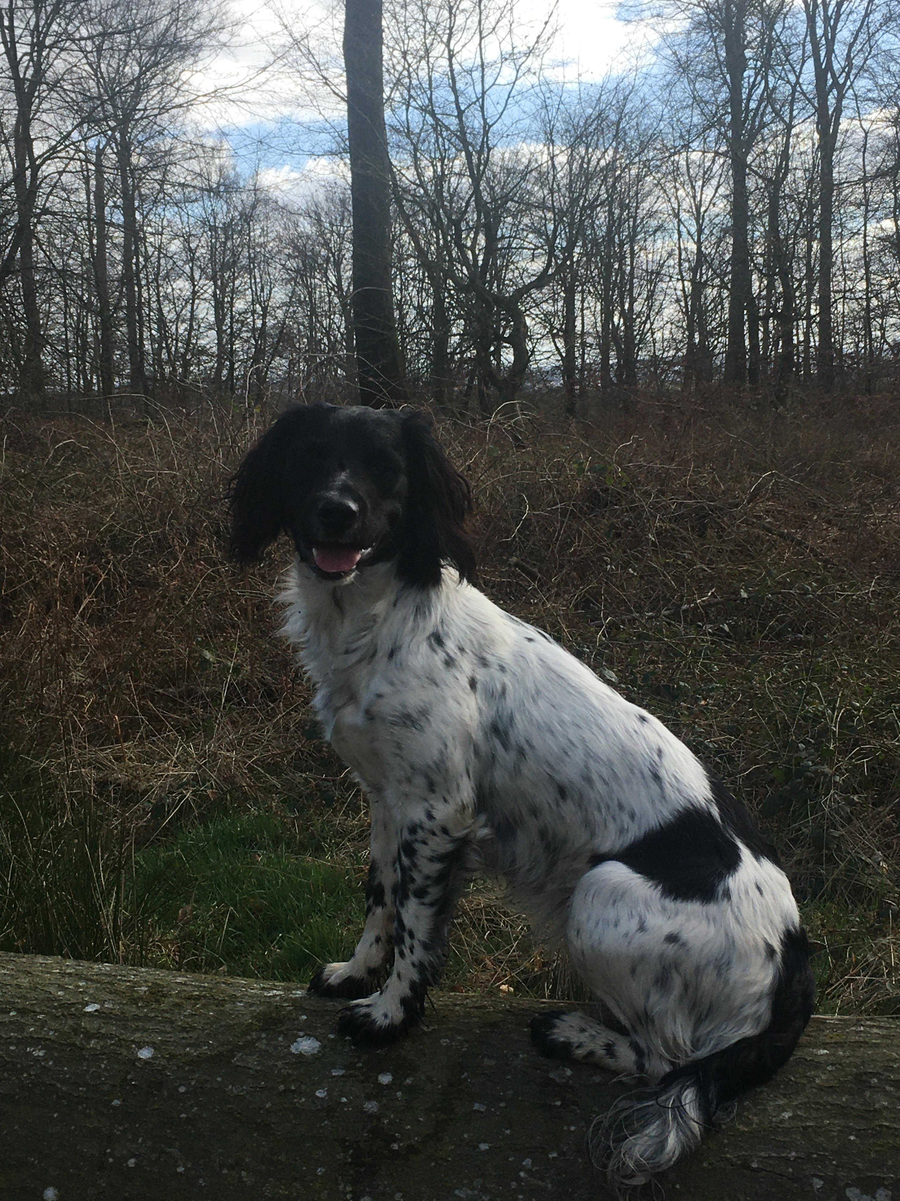 69E7C296-4E6B-4865-869A-658DA3BB5800