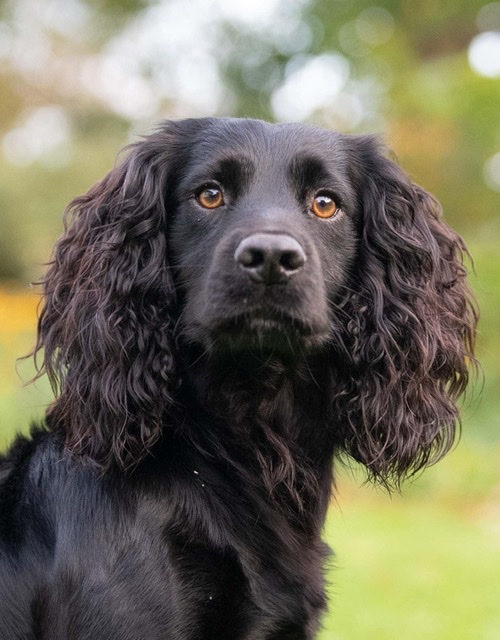 F20344D0-92EF-4BB9-BF43-84E57075C2A4