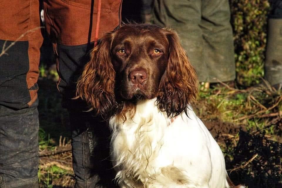 DA54E12D-1D92-4F91-A6D8-15996440F520