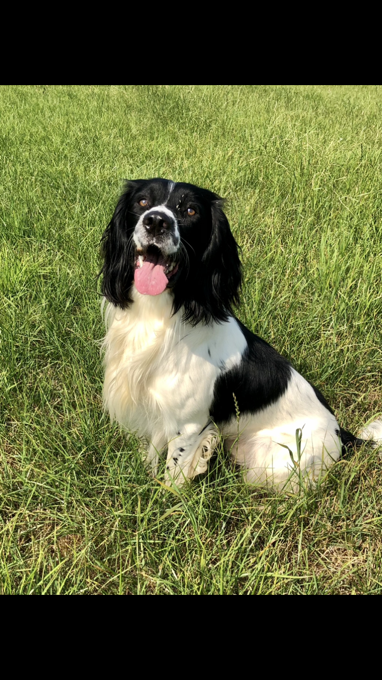 E21F87E1-2240-4671-B73B-26180DCAA256