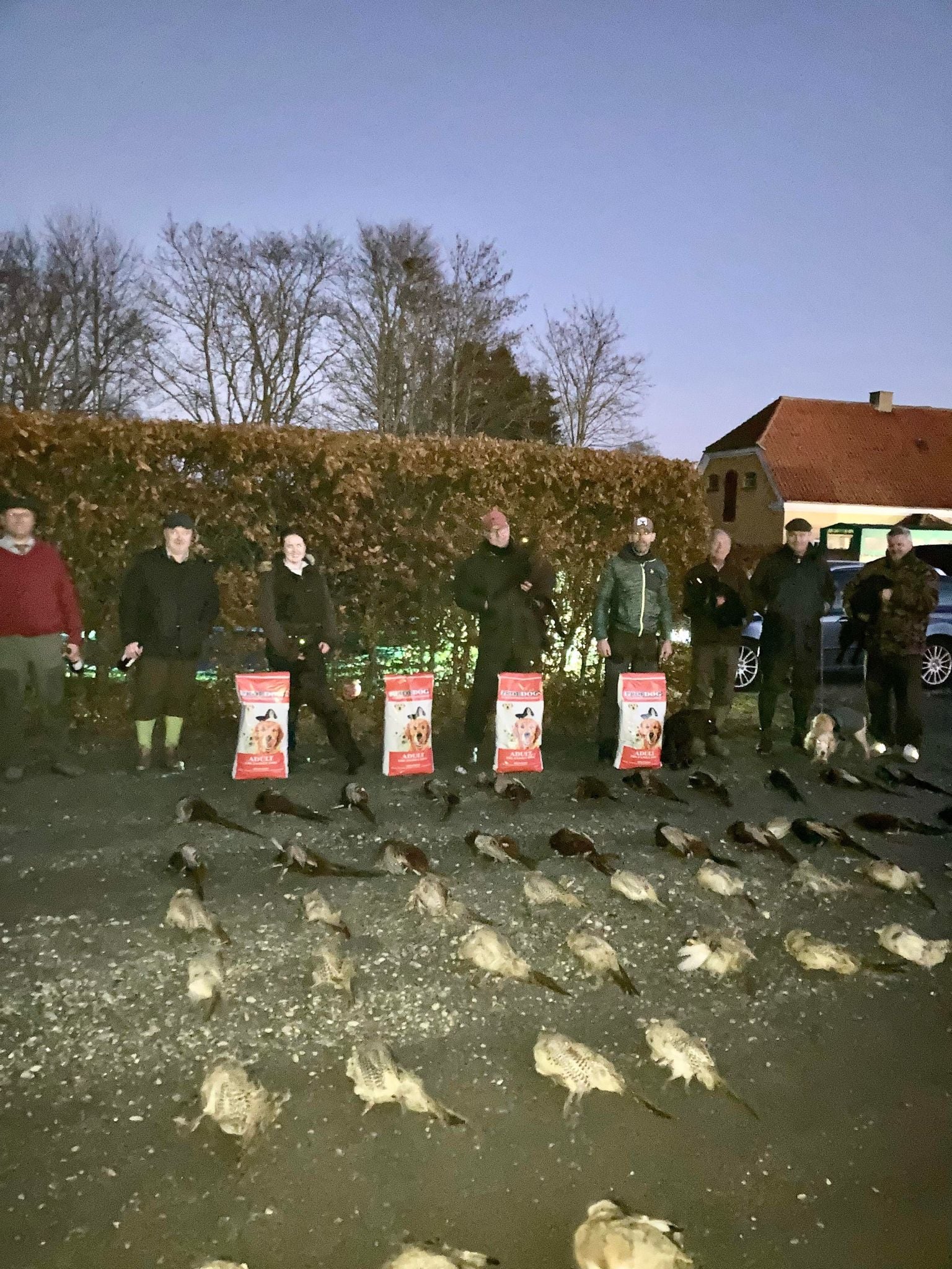 Cocker Ledreborg 22 11 2021