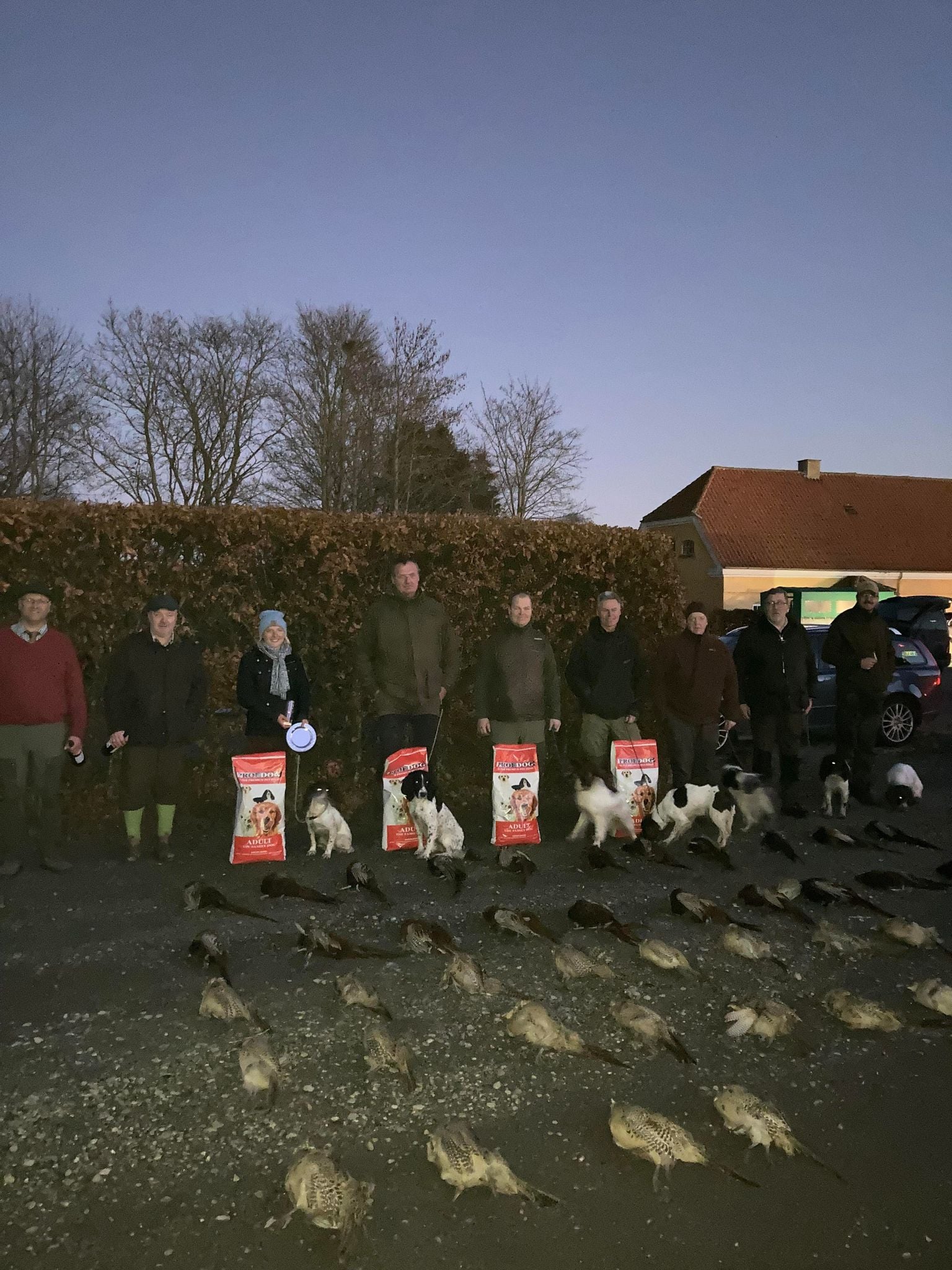 Springer Ledreborg 22 11 2021