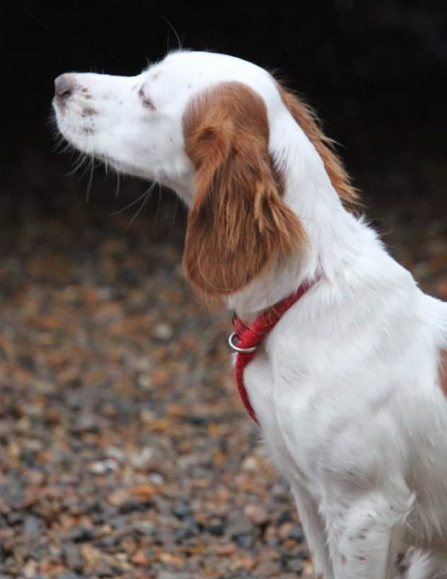 FB_IMG_1638743733264