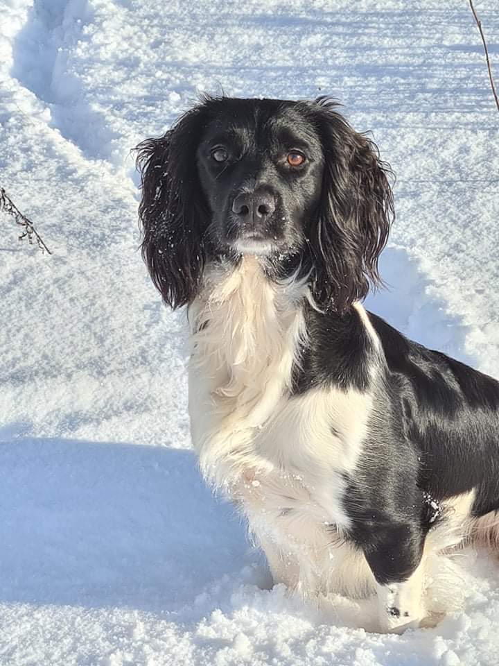 BB1F19D3-7205-4343-BAF0-A51B40105503