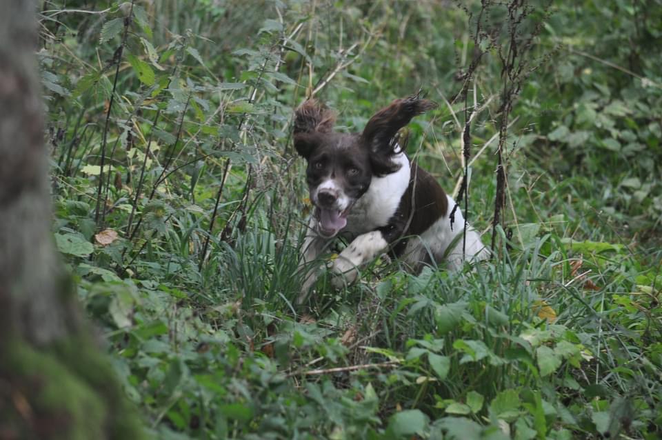 1103FE97-A7CA-4D01-AF7B-47451DF49658