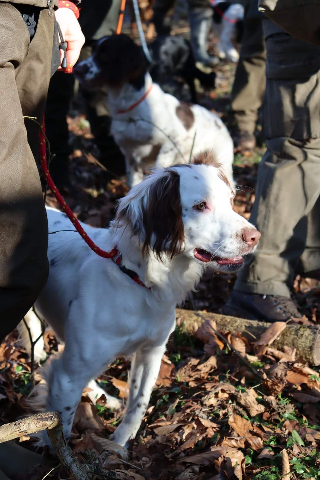 FB_IMG_1647202786992