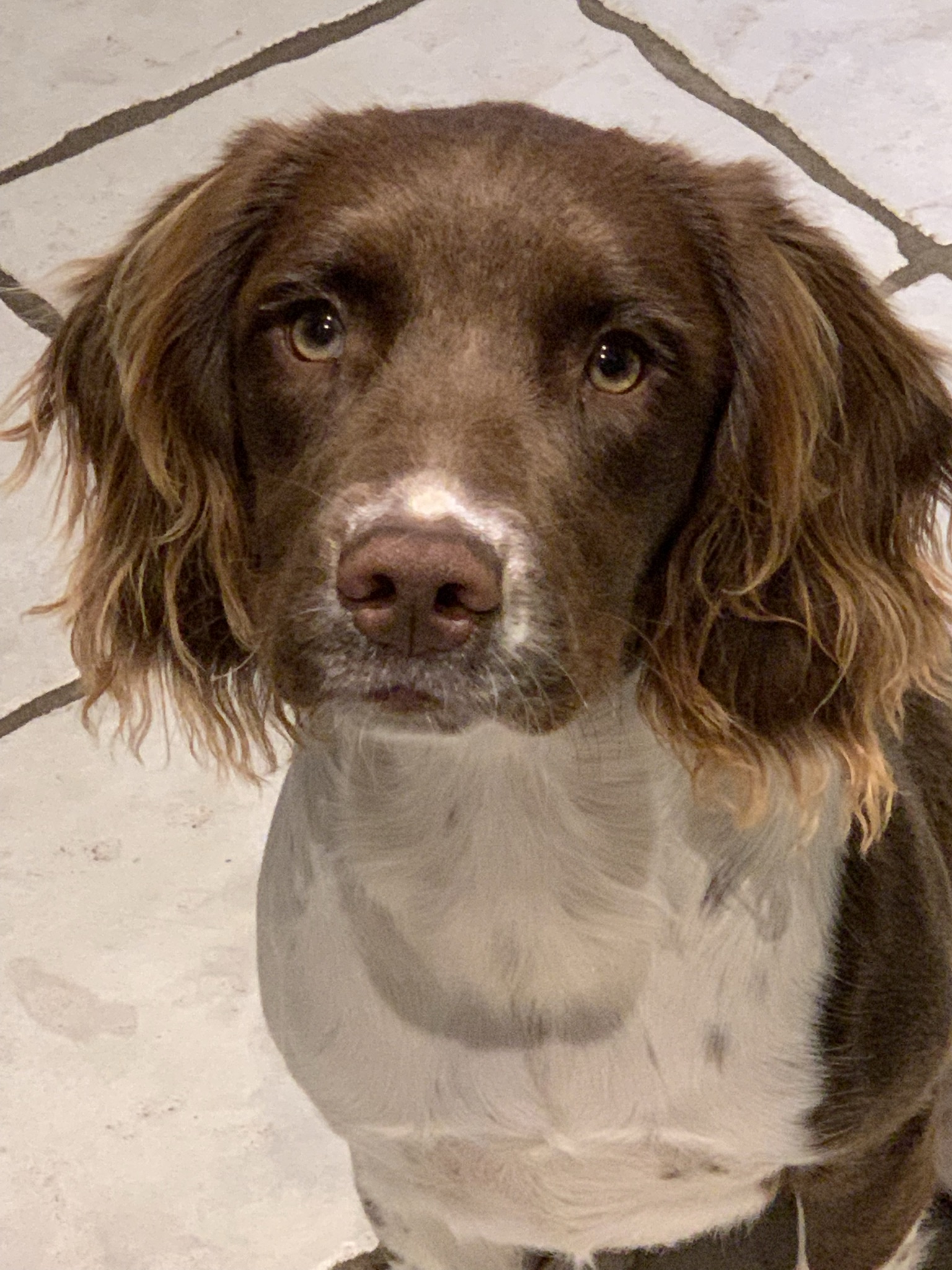 175572A6-5CEF-4C04-BE9E-24004F6FEAB9