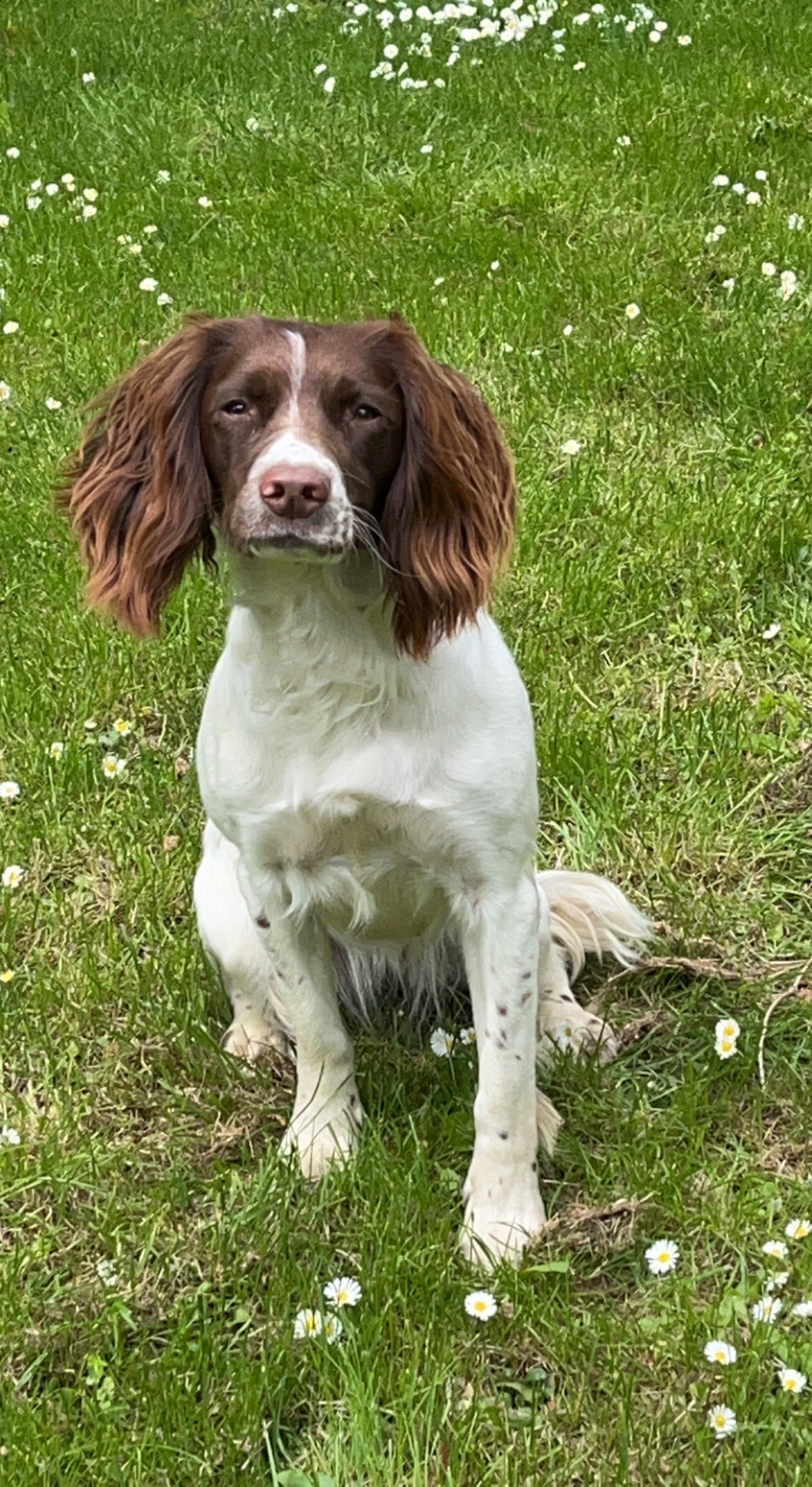 C8CECF6E-7306-4993-8400-1CEDFE311C21