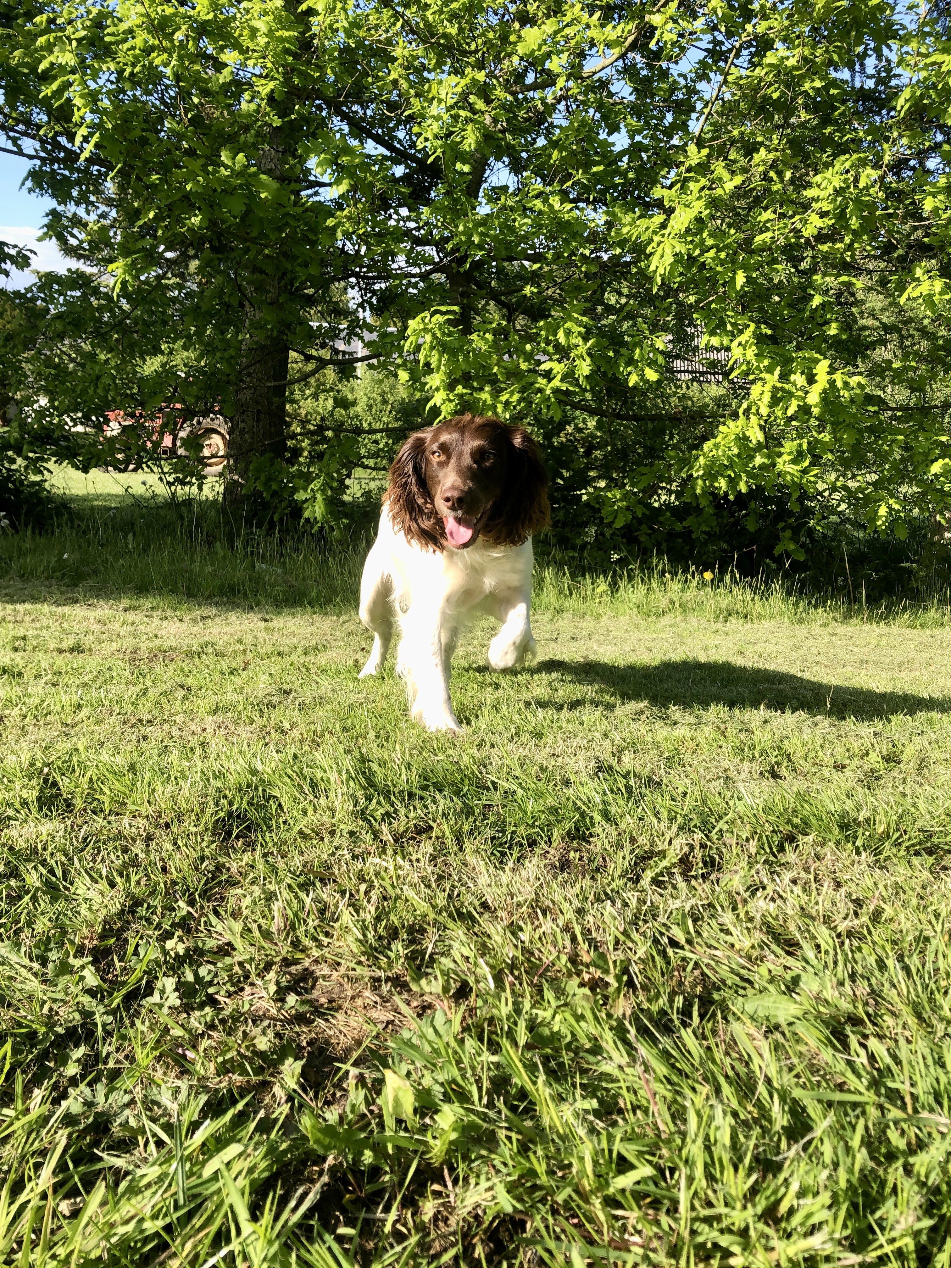 FBDF0009-9341-4FD0-9561-FEFB4BF779AB