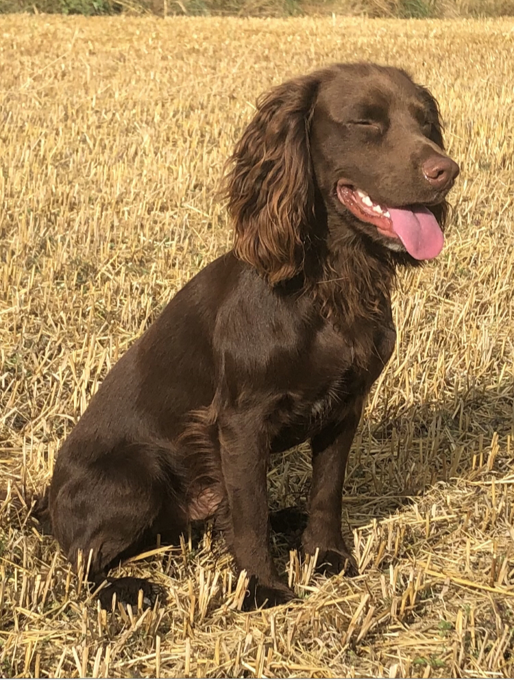 026CF51C-4C43-442B-A39A-01491F12841A