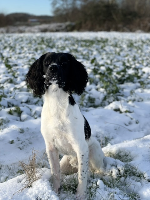 6EFBC4BA-B491-42BA-9B1D-DDBFAFC95B40