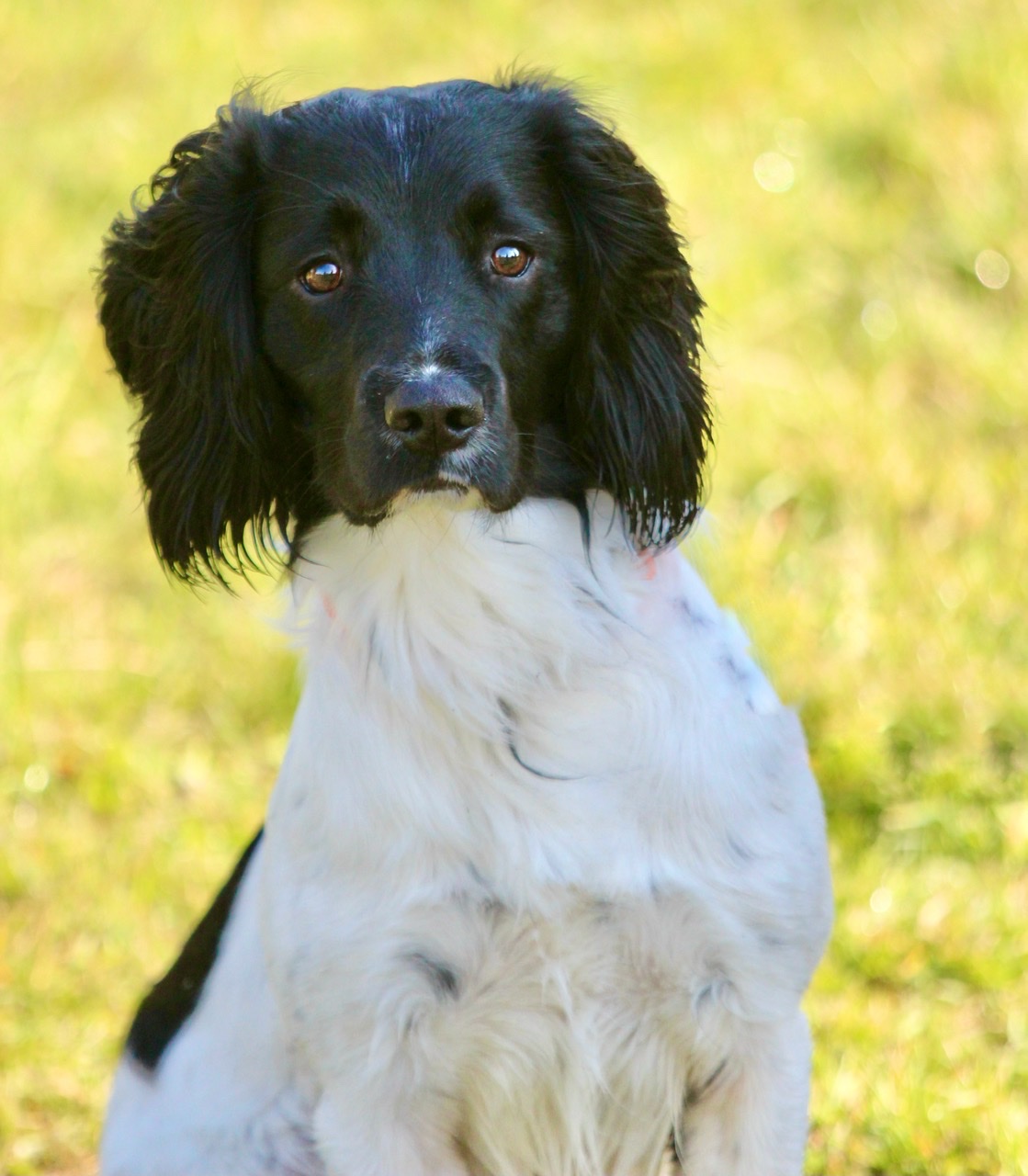 FF935374-7A5A-4CC6-AC1D-E54267D0B80E