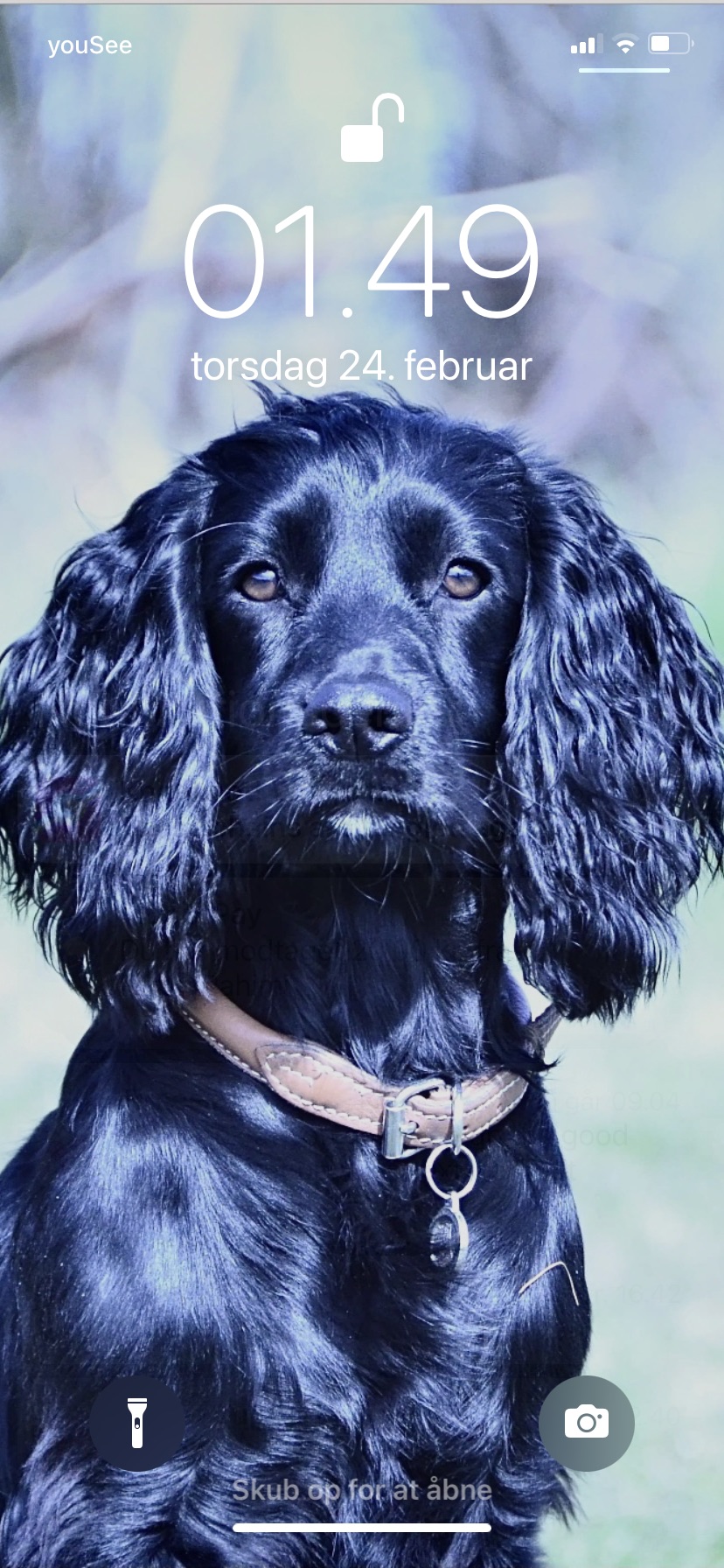 4C92A291-66F1-41E8-B269-DD5398D4260C