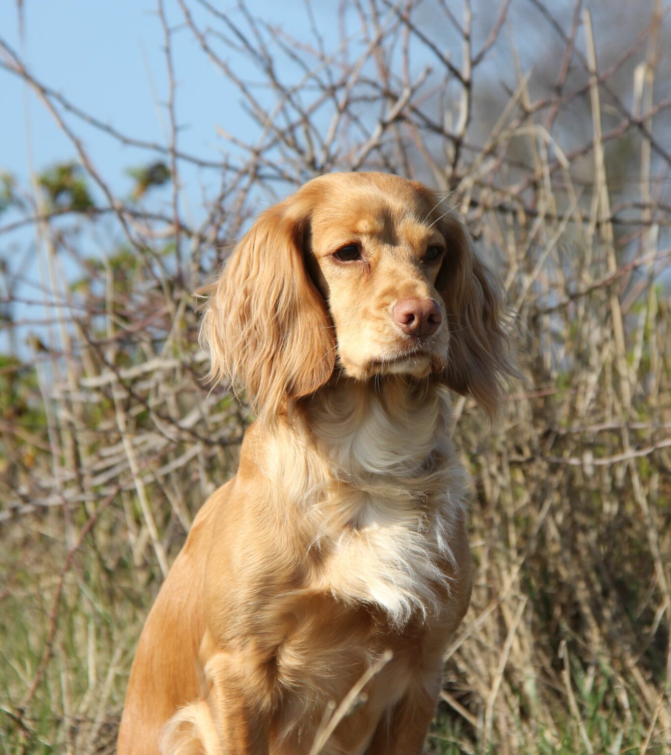 94403301-B2F0-48A3-A5B7-76FA01BF42F0