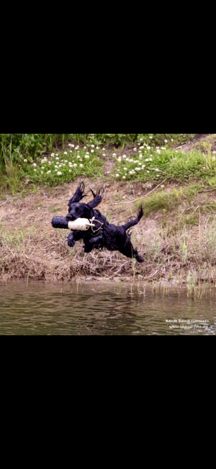 DD7EFEA9-7B79-4915-9244-1A101F25D386