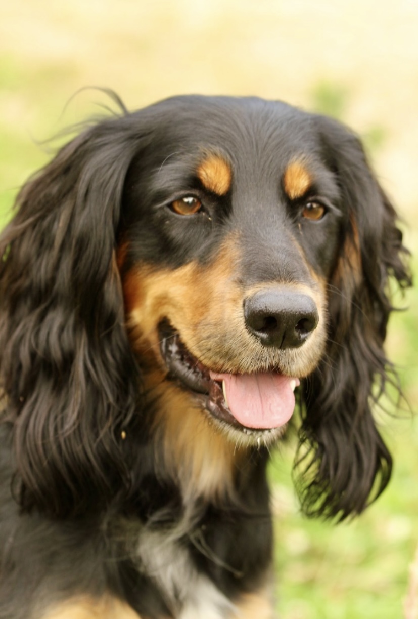 526FB405-311A-4346-9C3F-D66D548A63D1