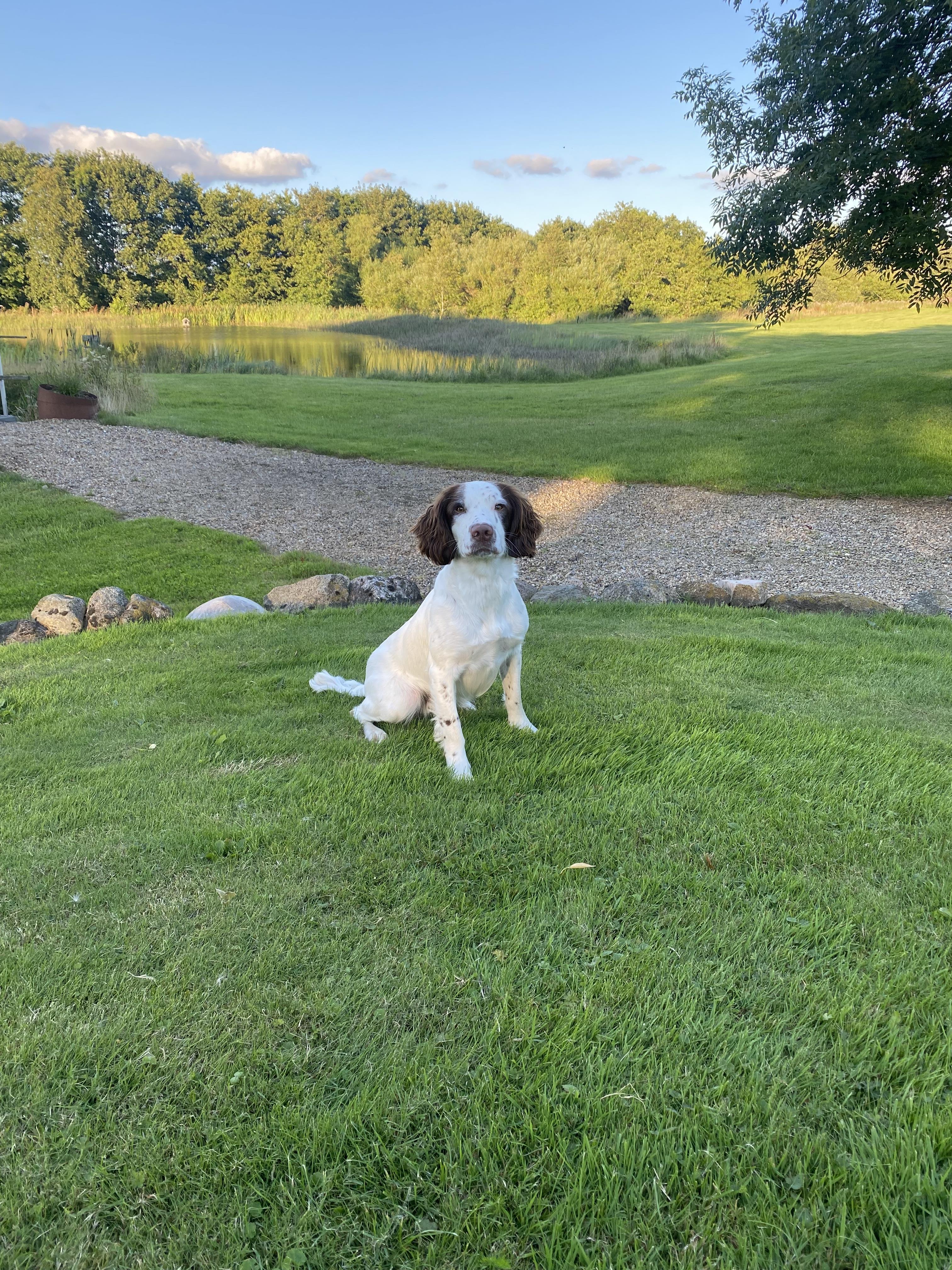 D8851588-3692-447B-B00C-0EE6D1BDFD5D