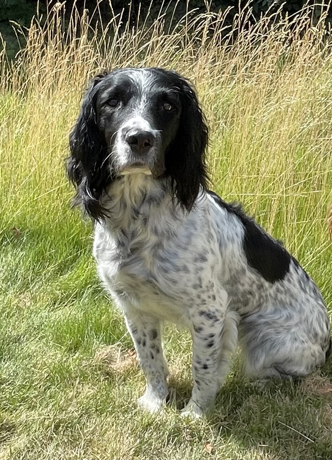 EBF773FB-E0F0-4E6E-89D7-D4048246CAE6