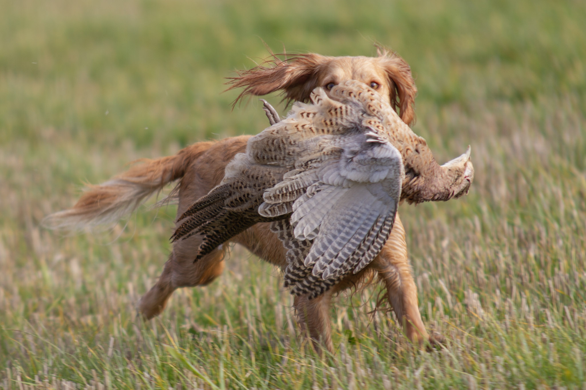 4A987359-EBF8-4C7F-A4D5-ADAAF253348C