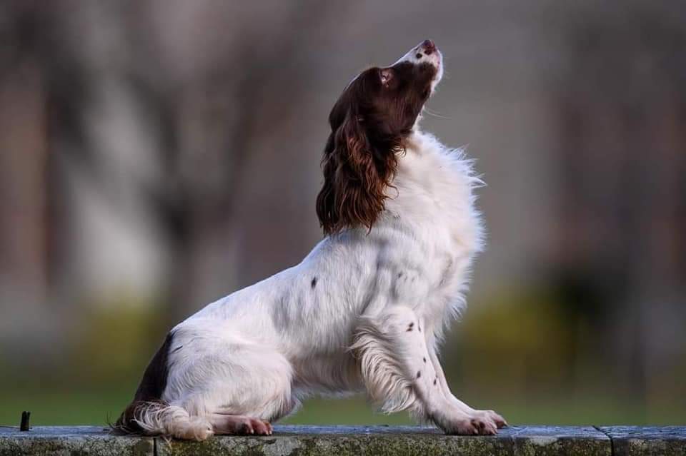 FB_IMG_1666121010617